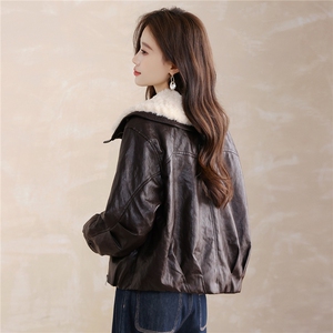 现货！现货！加绒加厚皮衣女2025冬季新款羊羔毛翻领棉衣棉服图片