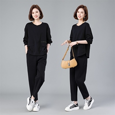现货2023秋季新款小众设计毛刷绣圆领休闲遮肚显瘦套装两件套，女装套装/套裙，深水步