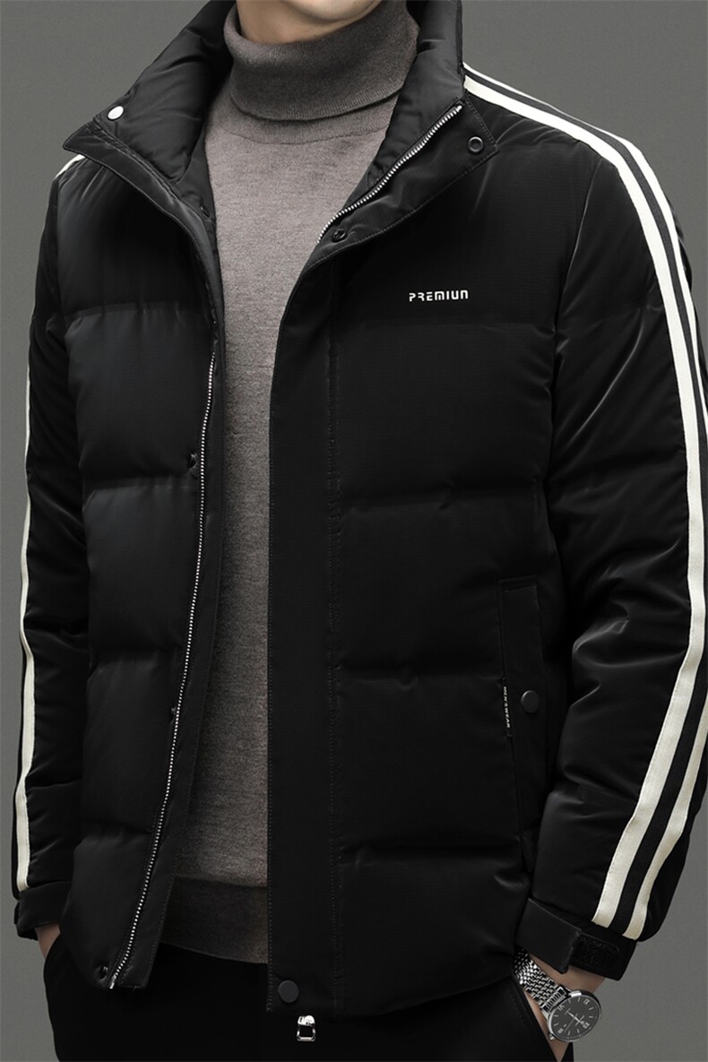 DF8209钱塘2020-2冬季新款时尚休闲立领厚款中年男士羽绒服P290,男装羽绒服,钱塘207-2