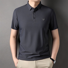 男士短袖t恤polo衫夏装上衣服男装商务翻领夏天半袖体桖2023新款，男装T恤，电商B212（原钱塘6029）
