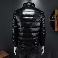冬季新款亮面立领羽绒服男士潮流休闲外套钱塘2027-8806-P310，男装羽绒服，钱塘6025
