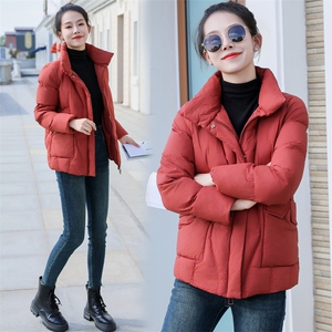 现货时尚洋气羽绒服2025年冬季白鸭绒简约女保暖新款外套图片