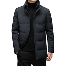 BW715钱塘2020-2中年男士冬季厚款商务休闲简约百搭羽绒服P350，男装羽绒服，钱塘207-2