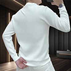 1506-1/WW41661/P33街头老虎创意插画美潮青春宽松长袖T恤男款马，男装T恤，星座1506-1