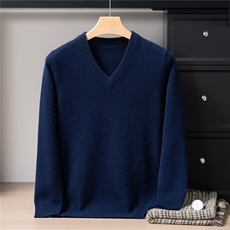 2025年秋季长袖青春流行套头V领时尚百搭通勤，男装针织衫/毛衣，戎禾素