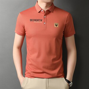 夏季新款男士翻领短袖t恤中年有领男装上衣服休闲POLO衫,男装T恤,电商B212（原钱塘6029）
