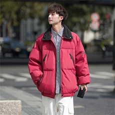 电商DSA028-MY2302P105冬季新款拉链设计棉衣外套面包服男，男装棉衣，电商A028