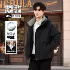 高端羽绒服高级感加厚冬装男士羽绒服外套上衣313B--WH2581-P300，男装羽绒服，星座313B