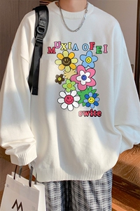 抖音供货、现货秋季冬圆领毛衣宽松打底衫D223A-MY2320-特P40图片