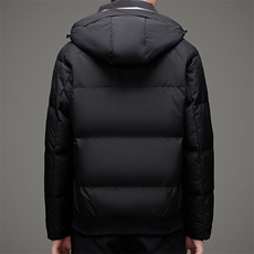 DAy9902钱塘2020-3冬季加厚时尚休闲连帽高品质羽绒服P215，男装羽绒服，钱塘207-3