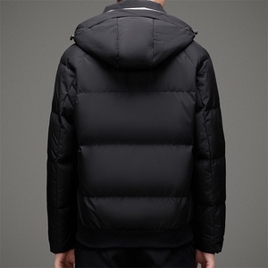 DAy9902钱塘2020-3冬季加厚时尚休闲连帽高品质羽绒服P215图片