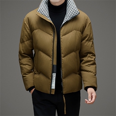 DAJ823-3钱塘2020-2时尚休闲简约百搭厚款中年男士羽绒服P220，男装羽绒服，钱塘207-2
