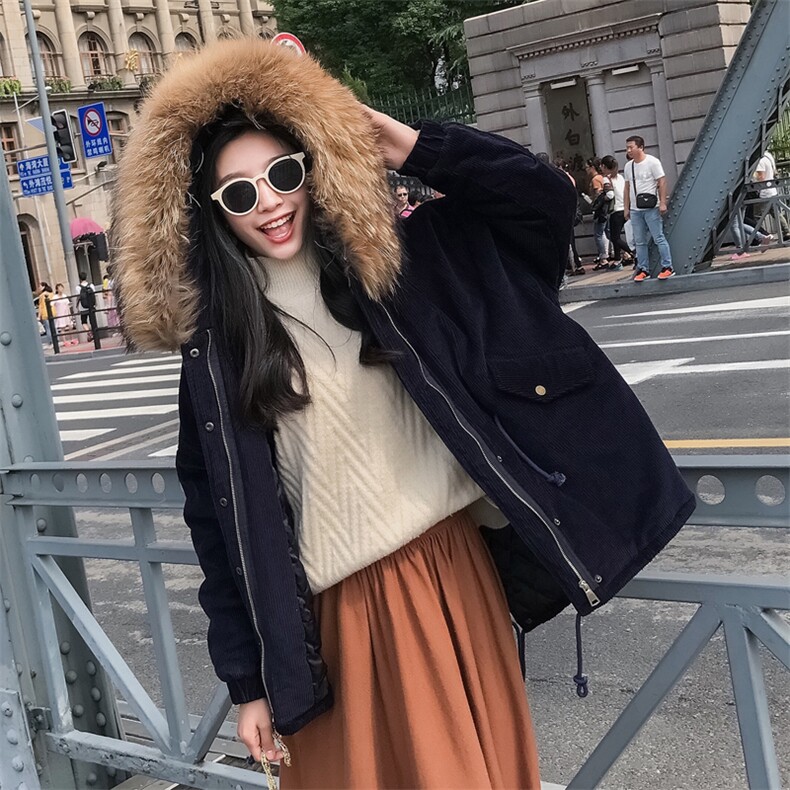 大货已出 韩版连帽纯棉加厚棉衣 仿毛领 8818-P160 控230图片