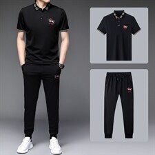 短袖男夏季t恤套装休闲运动半袖衣服男装潮流T恤卫衣冰丝，男装休闲套装，电商B212（原钱塘6029）