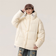 新标90白鸭绒简约休闲立领外套纯色加厚羽绒服ESY0204-P210，男装羽绒服，电商B306
