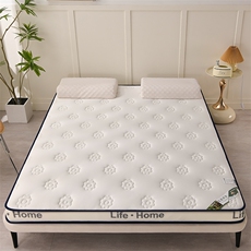 2023新款云朵牛奶丝乳胶抗压床垫，床单，一起卖家纺