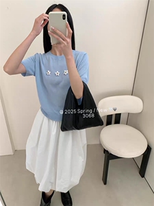 高档夏季新款t恤女短袖圆领宽松休闲正肩穿搭简约洋气小众ins图片