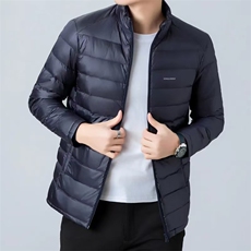 胖胖哥简约可替换内胆立领短款羽绒服男冬季保暖轻薄大码宽松外套，男装羽绒服，钱塘6003（原4033）