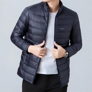 胖胖哥简约可替换内胆立领短款羽绒服男冬季保暖轻薄大码宽松外套图片