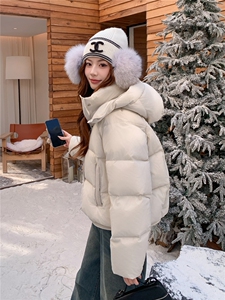 现货新款2163-P275-K399小个子羽绒面包服图片