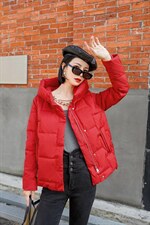 现货羽绒服，女装棉衣/棉服，琪轩蔓莎