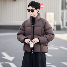 带报告标50白鸭绒高充绒量泡芙男装羽绒服C317-Y8855-P275，男装羽绒服，电商C317