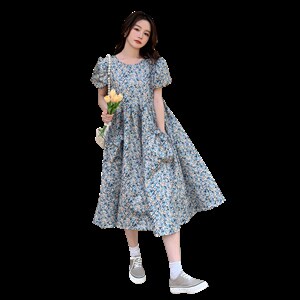 已出 现货 法式清新仙女裙251-25108-P105-K158图片