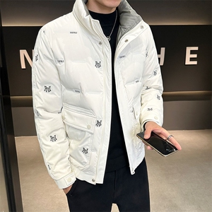 2025店主风新款男士立领羽绒服白鸭绒百搭时尚外套YR8097-P145图片