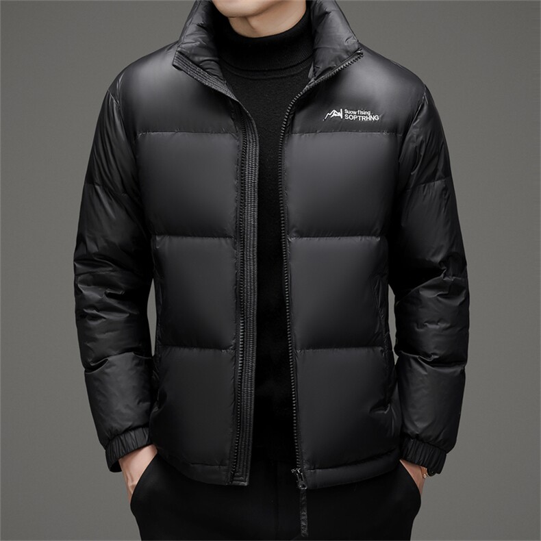 DAJ823-6钱塘2020-2冬季厚款时尚休闲立领中年男士羽绒服P210,男装羽绒服,钱塘207-2