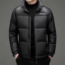 DAJ823-6钱塘2020-2冬季厚款时尚休闲立领中年男士羽绒服P210，男装羽绒服，钱塘207-2