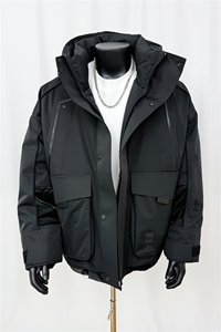 2025新款连帽90白鸭绒羽绒服 D213-H24023-P450图片