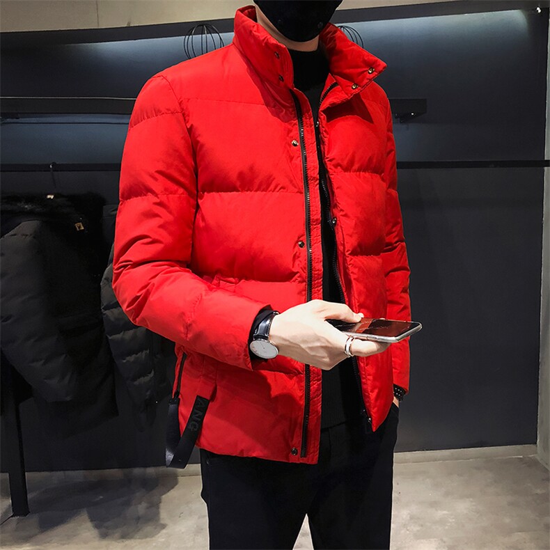 棉服男士保暖棉衣外套加厚棉袄2020冬季新款DS212T,男装棉衣,电商A102