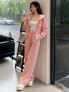 设计高级感休闲运动套装春季季新款气质减龄连帽卫衣直筒裤两件套图片