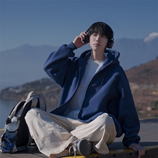 开衫卫衣男春秋款高街连帽衫B225-A6401-P95-X118，男装卫衣，电商B225