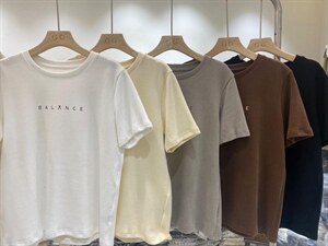 【秋款·百搭加厚磨毛T】图片