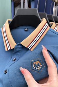 保罗男士短袖T恤翻领半袖薄款2023夏季新款中年商务休闲polo衫男图片