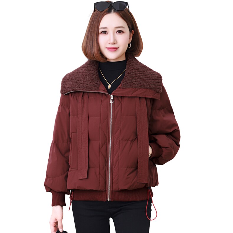 洋气减龄大翻领羽绒服女2024冬季新款宽松气质保暖短款白鸭绒外套,女装羽绒服,婷思杰（原婷想服饰）