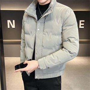 标三防面料冬季男士立领简约时尚潮流帅气百搭鸭绒保暖外套图片