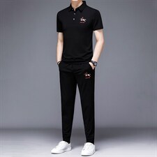 上衣裤子短袖纯色2023年翻领休闲夏季中年套装时尚HP516，男装休闲套装，电商B212（原钱塘6029）