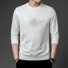 长袖圆领套头男秋季2023新款中年男士卫衣休闲时尚印花上衣，男装卫衣，电商B212（原钱塘6029）