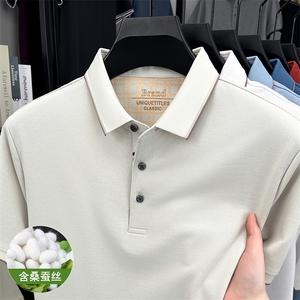 【亚麻+】中青年男士T恤翻领2025夏季新款冰丝短袖POLO衫