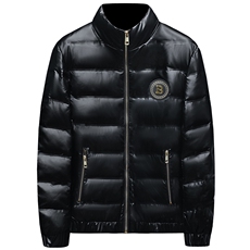 冬季新款男士立领亮面羽绒服潮流休闲外套钱塘2027-8806-P310，男装羽绒服，钱塘6025