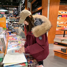 安可拉红