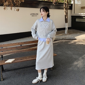 灰色休闲两件套女秋季2025新款学院风穿搭条纹拼接卫衣半身裙套装图片