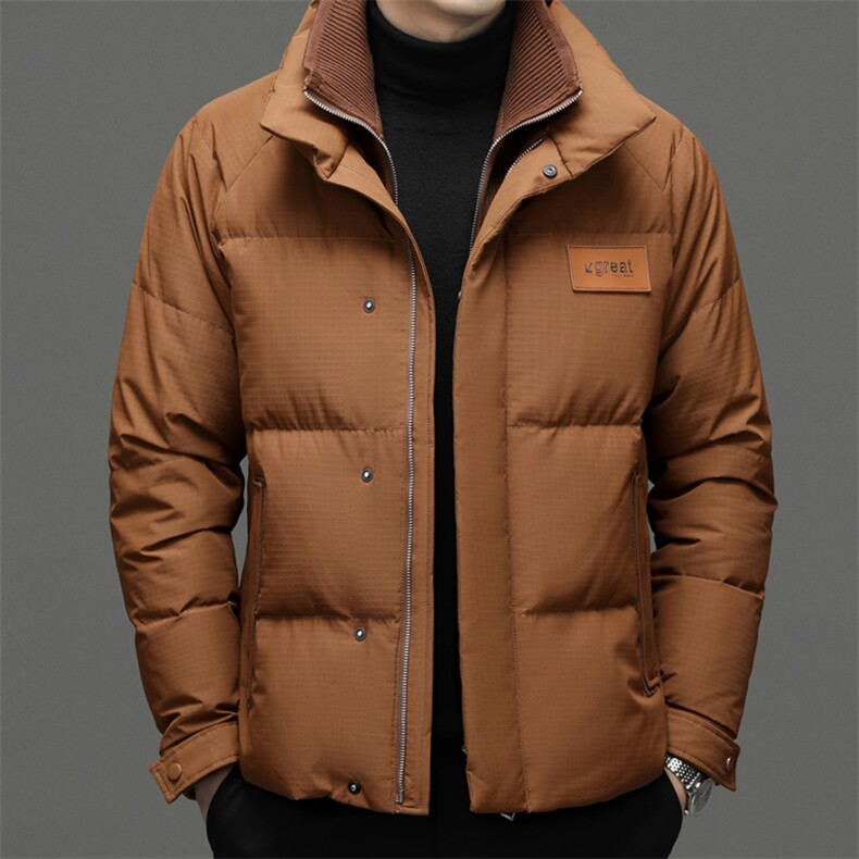 DF8203钱塘2020-2冬季厚款立领时尚休闲简约中年男士羽绒服P350,男装羽绒服,钱塘207-2