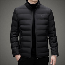 中年立领休闲羽绒服冬季新款男士加厚保暖白鸭绒外套上衣爸爸装，男装羽绒服，电商B212（原钱塘6029）