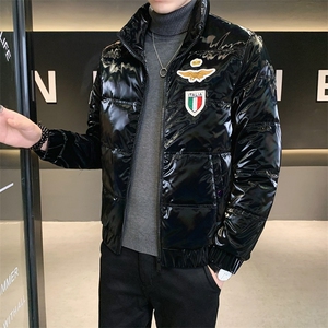 8208  冬季男士立领亮面羽绒服图片
