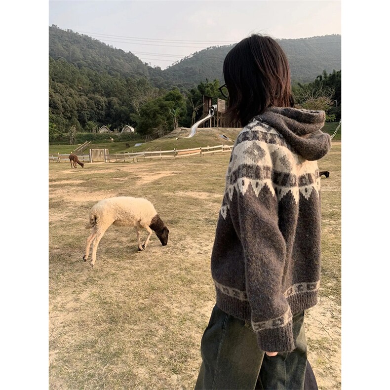 重磅秋冬北极绒开衫毛衣美式复古休闲慵懒风牛角扣针织衫连帽外套图片