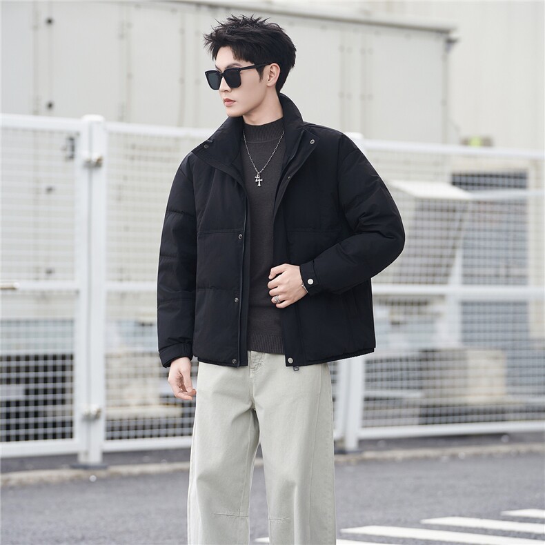 标50绒羽绒服男冬季2025新款外套A313-3301-P205劵后298,男装羽绒服,电商A313