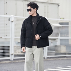 标50绒羽绒服男冬季2025新款外套A313-3301-P205劵后298，男装羽绒服，电商A313